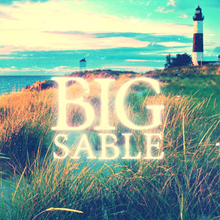 Load image into Gallery viewer, Big Sable: dune grass, sun & sand, lake breeze, sandalwood.