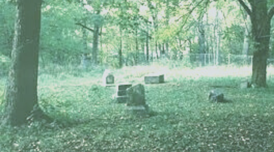 The Natural History of Bachelors Grove Cemetery, one of the World's Most Haunted Places